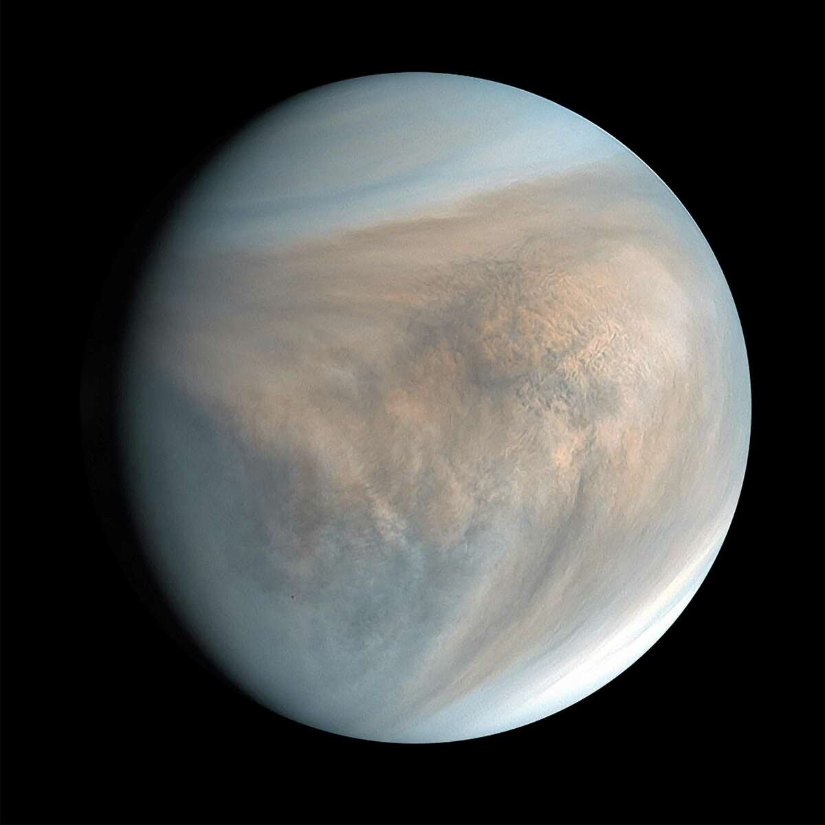 An image of Venus, made with data recorded by Japan’s Akatsuki spacecraft in 2016. So close, so similar and very mysterious, the planet is surprising scientists with a chemical signature spotted in its clouds. (PLANET-C Project Team/JAXA via The New York Times)