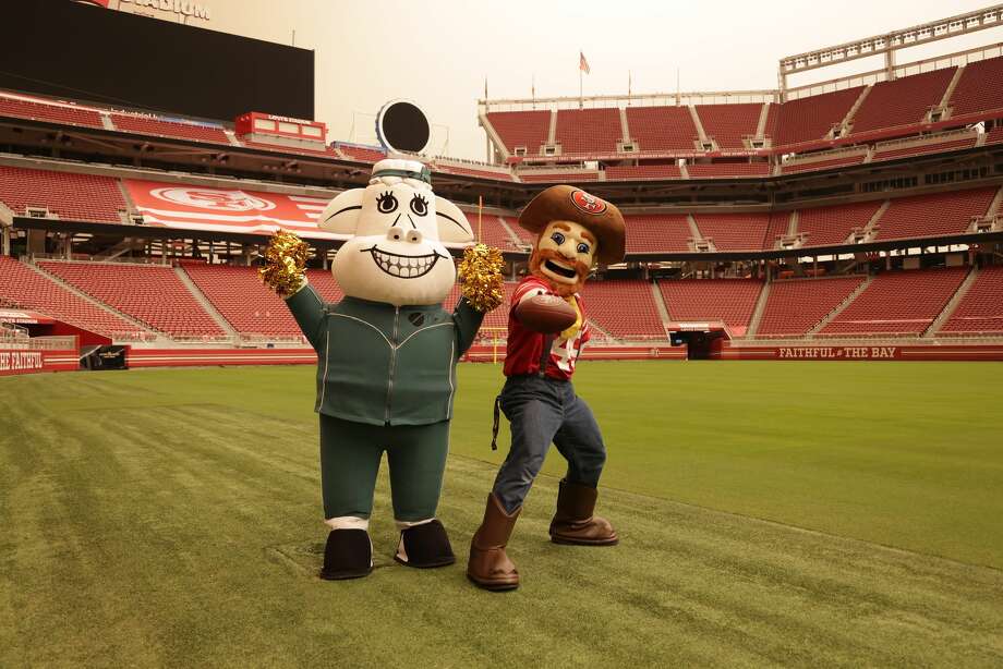 A photo of 49ers mascot Sourdough Sam at Levi's Stadium from Sept. 2020. Photo: Courtesy Of @49ers