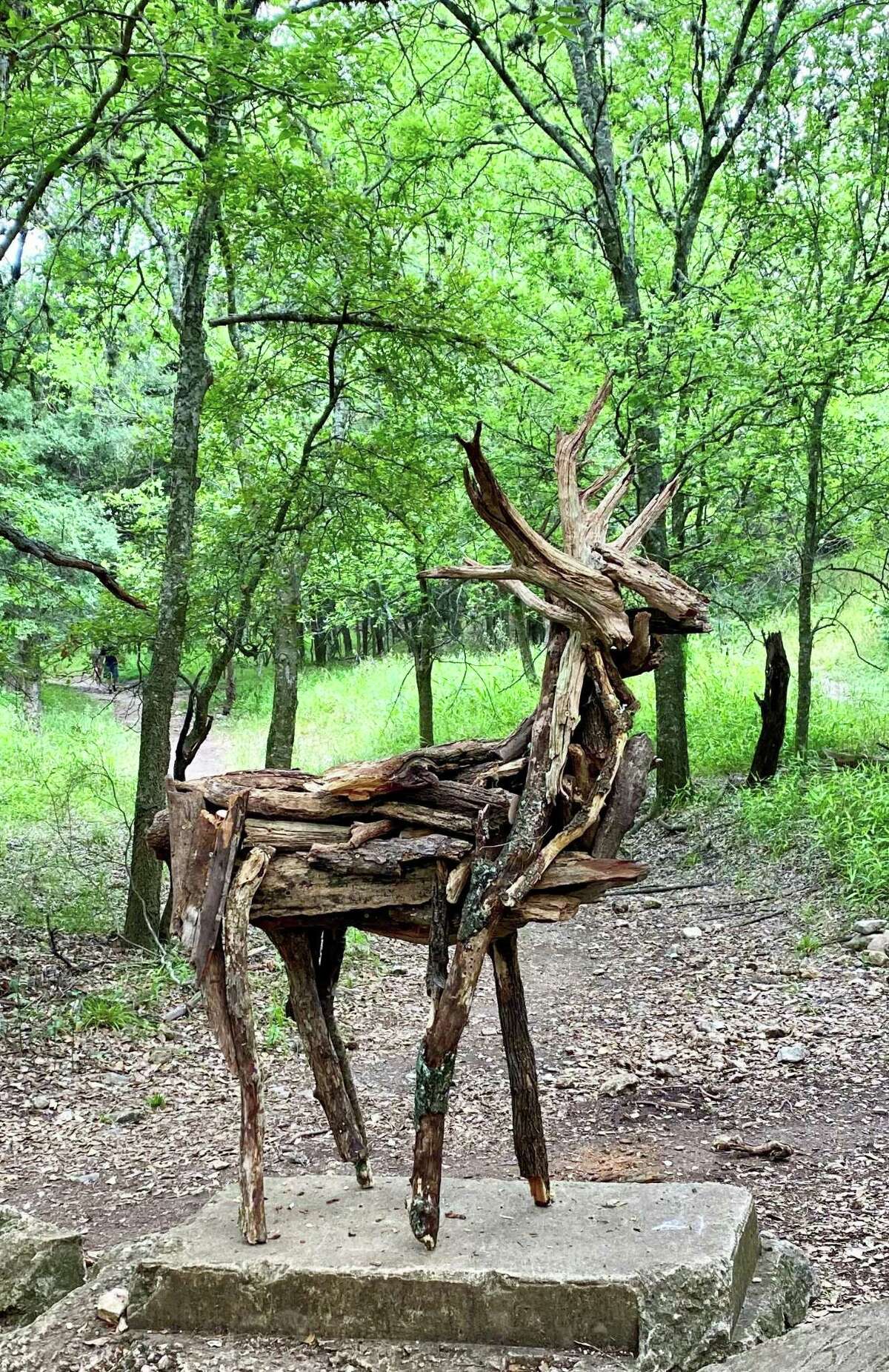 A photo of a since-destroyed sculpture created by 13-year-old artist Elizabeth Gutierrez shows a surprisingly delicate rendering of a deer crafted from scraps of deadwood she and her brother William collected in McAllister Park.