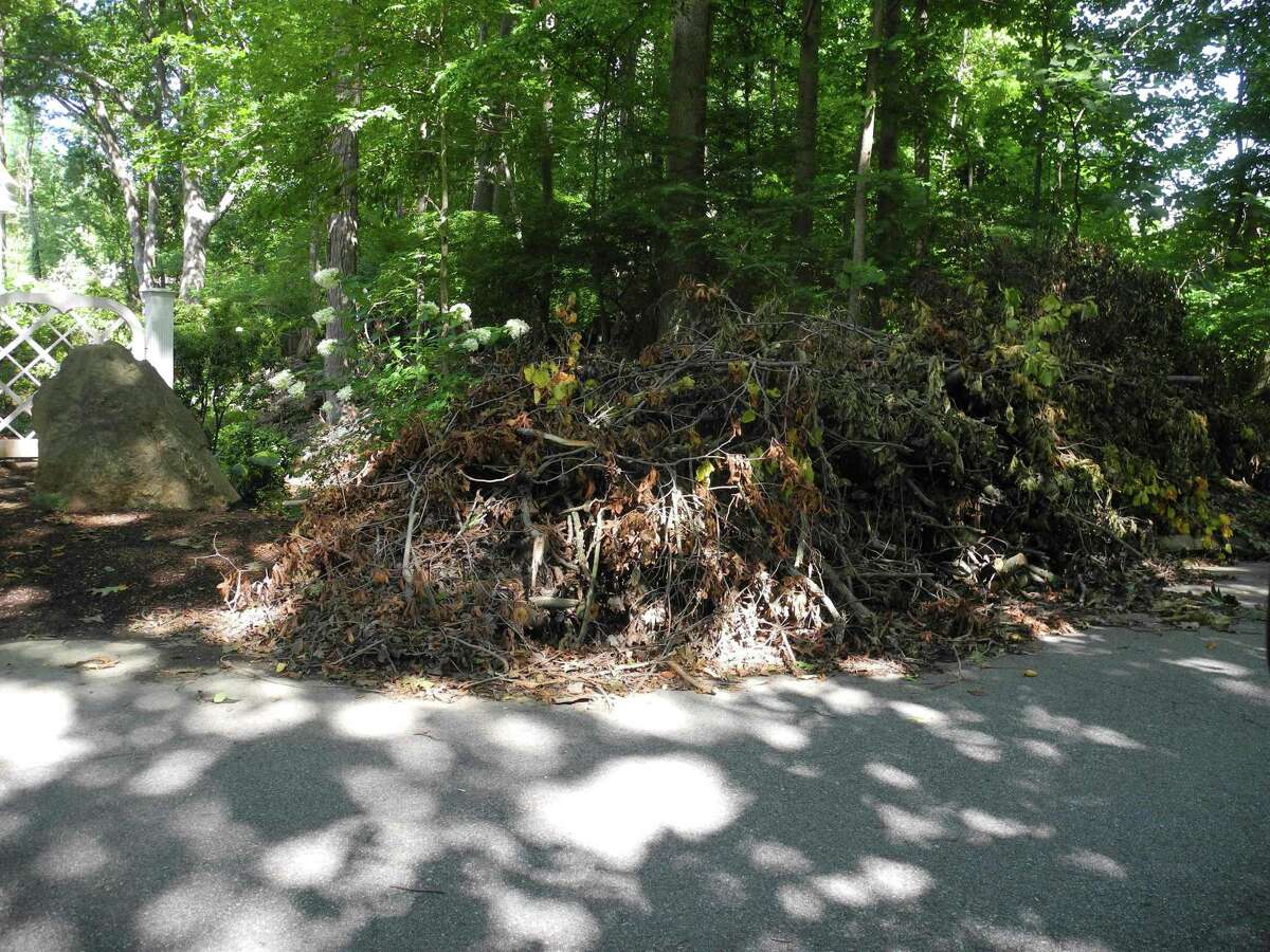 Debris from Tropical Storm Isaias lies along Catalpa Road in August.