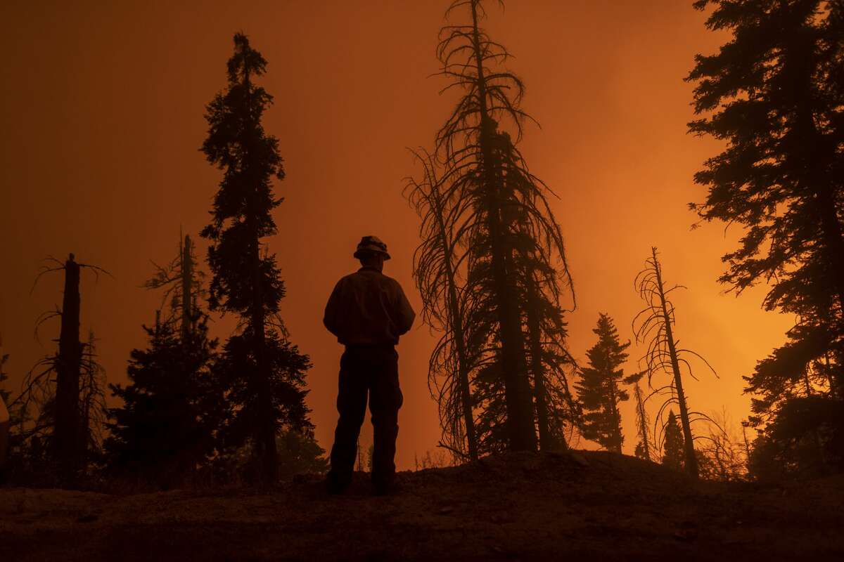 A firefighter keeps watch as flames advance along the Western Divide Highway during the SQF Complex Fire on September 14, 2020 near Camp Nelson, California. The SQF Complex Fire has grown to more than 90,000 acres and burned scores of homes. California wildfires that have already incinerated a record 2.3 million acres this year and are expected to continue till December.
