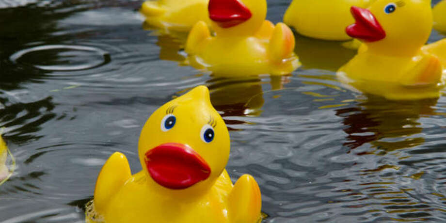1000 rubber ducks cheap