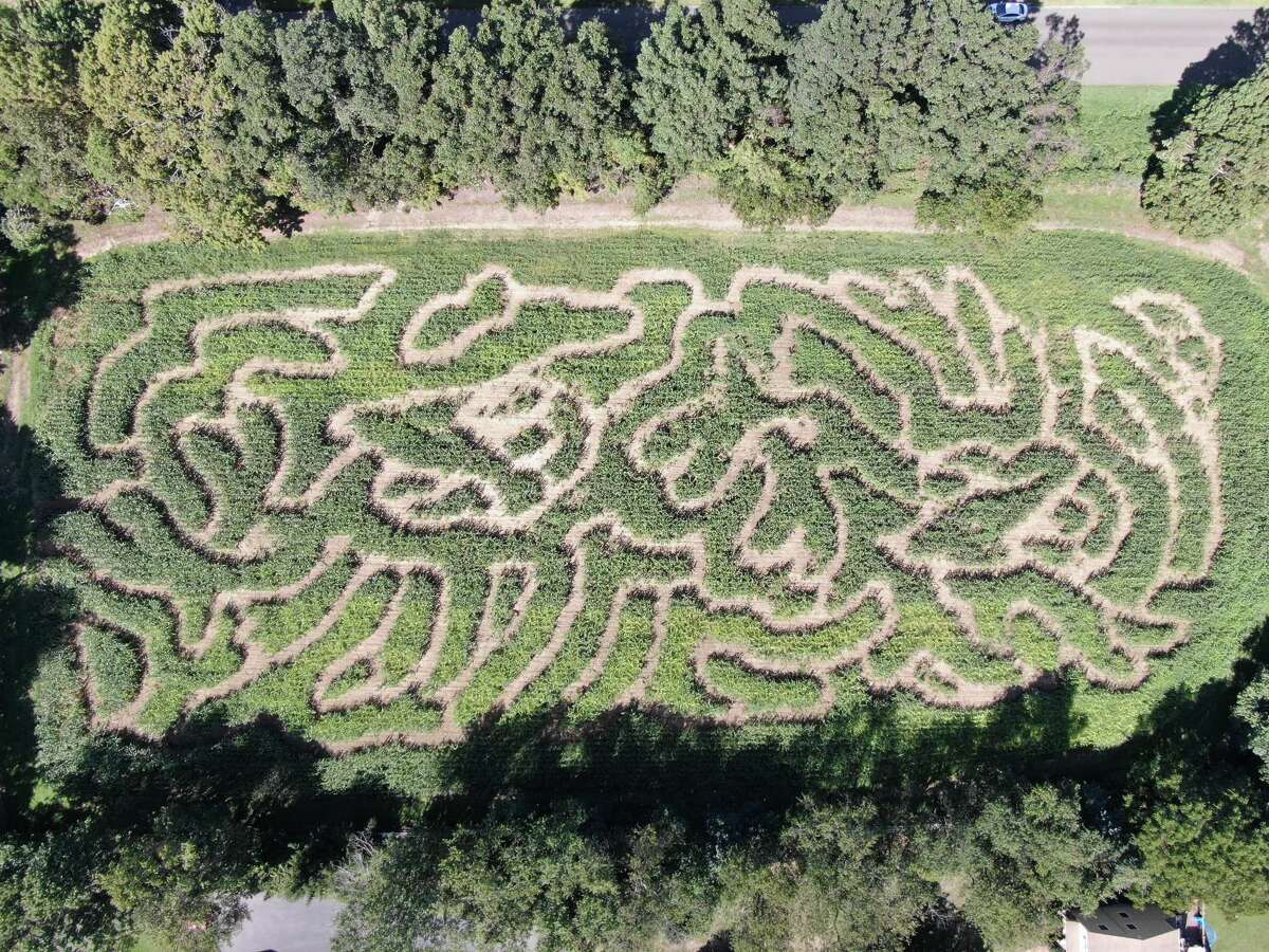 All ears 7 corn mazes to pick from in Connecticut