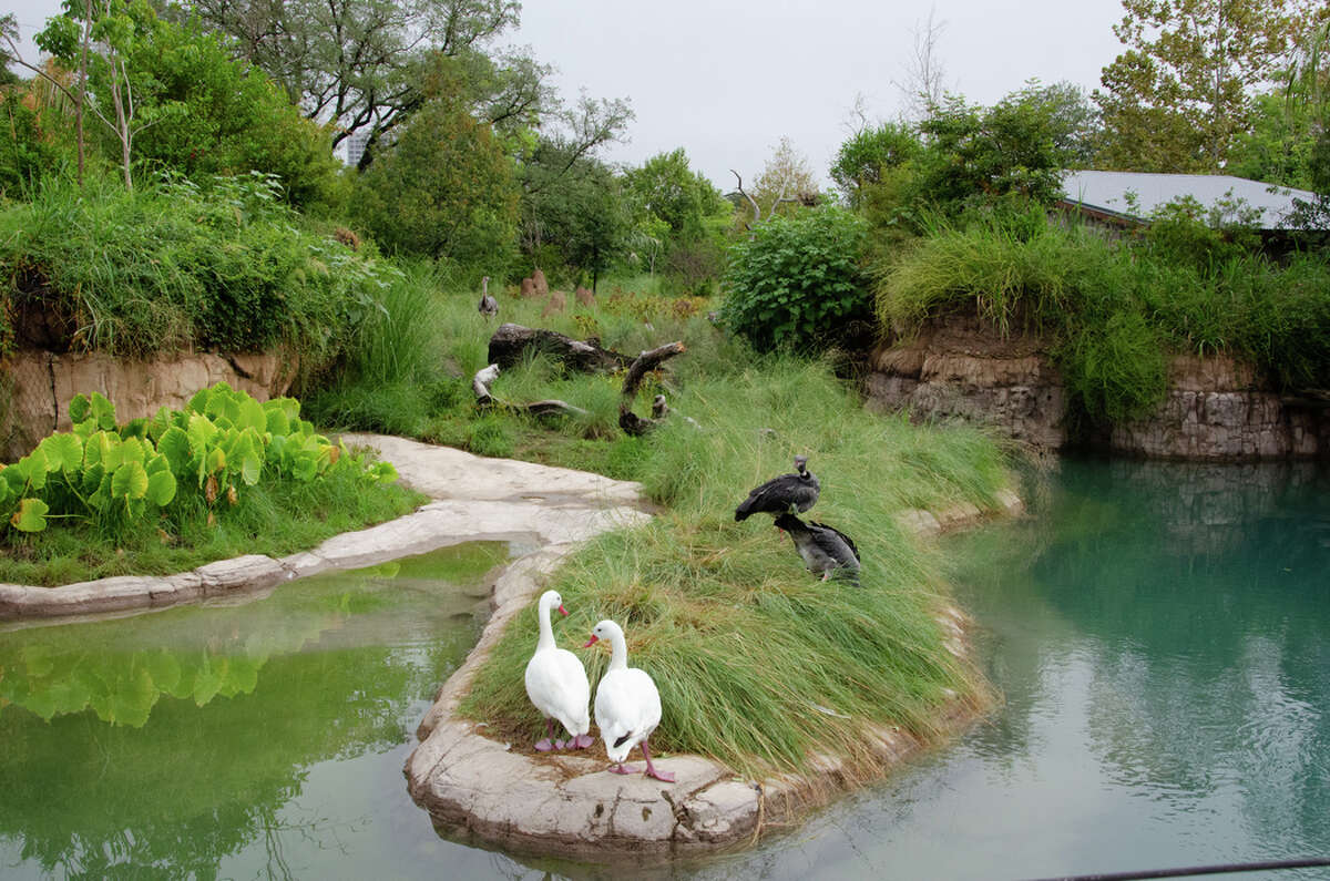 Houston Zoo set to open new South America’s Pantanal expansion