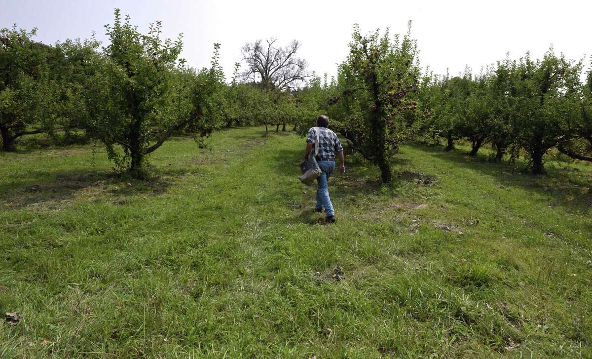 One of CT’s oldest farms now permanently protected in Roxbury