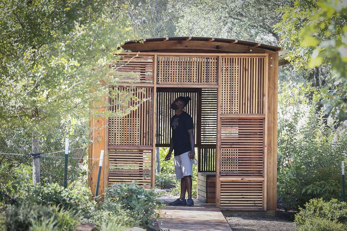 Timothy Hammond checks out a “Curiosity Cabinets” during a sneak preview of the Houston Botanic Garden, which opened to the public on Sept. 18, 2020. 