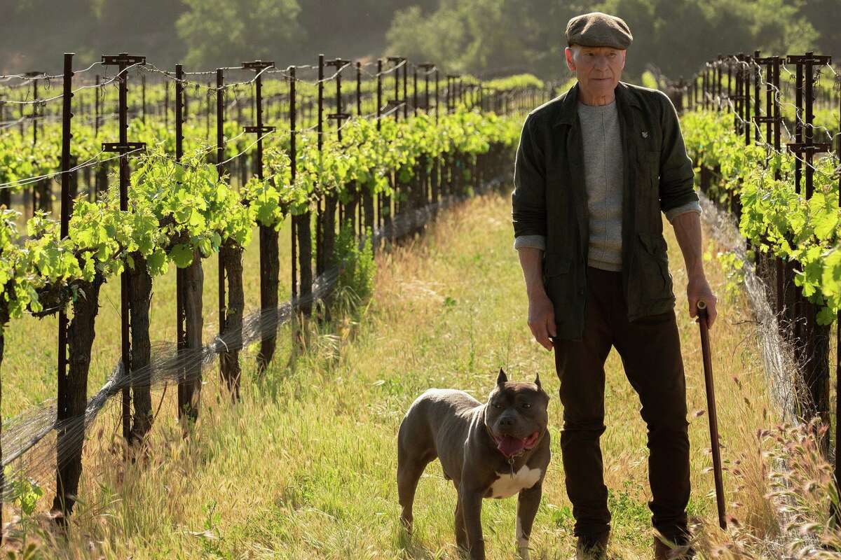 Patrick Stewart returned to his most famous role in “Star Trek: Picard,” which premiered Jan. 23, 2020, on CBS All Access.