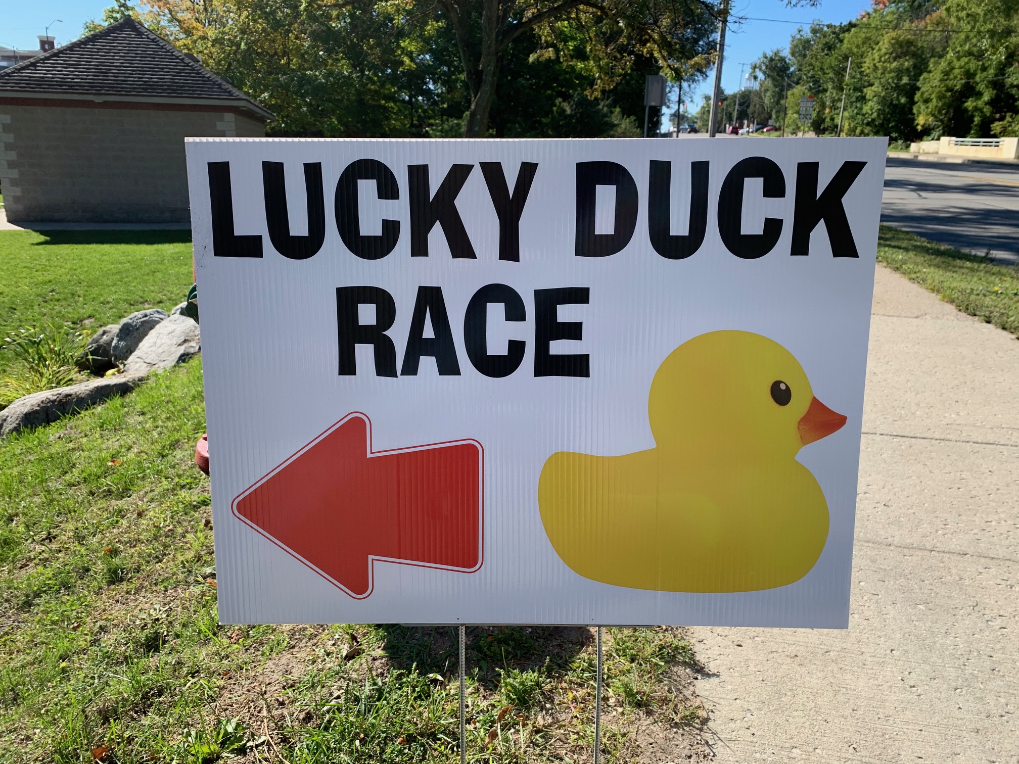 Lucky Duck Race 2020 Big Rapids Pioneer