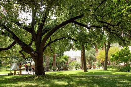 The Alamo grounds are well maintained and offer much shade to visitors.