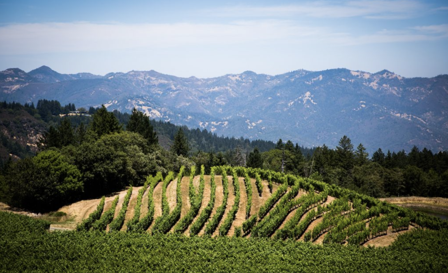 Pride Mountain: killer winery views that straddle Napa and Sonoma