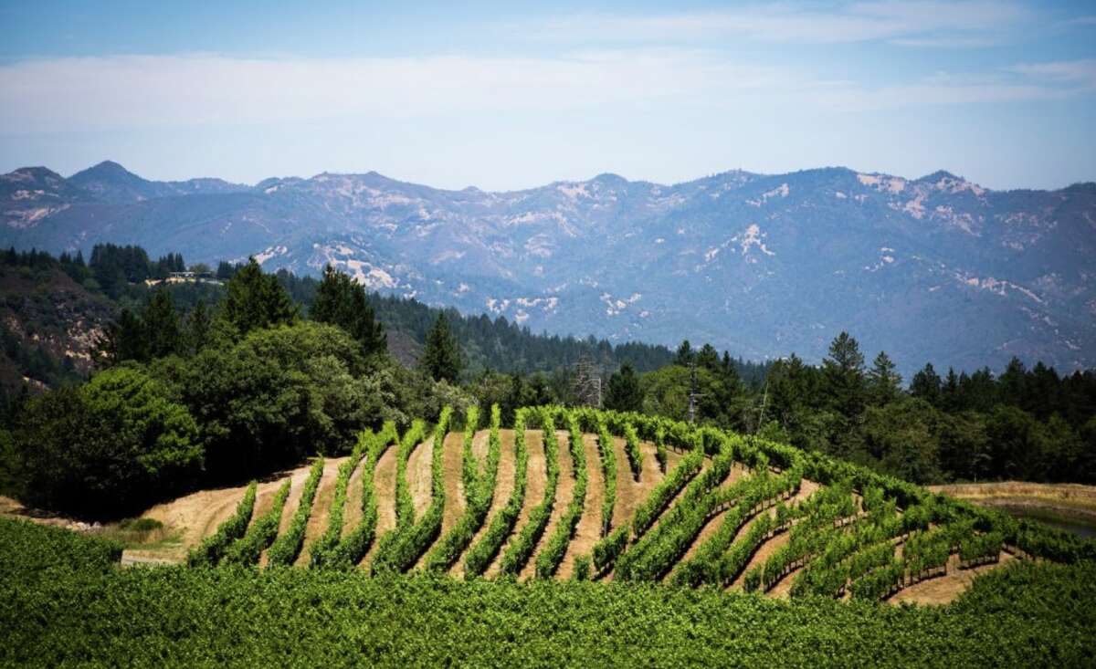 Pride Mountain has a one-of-a-kind location: split down the middle, with one half of the property in Napa County and the other in Sonoma County.