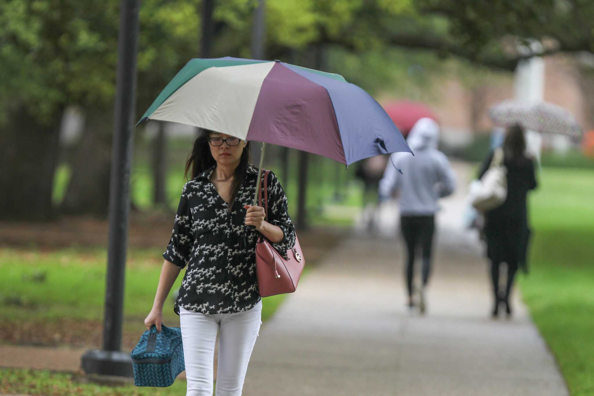 Houston area colleges move courses online, close campuses for Tropical