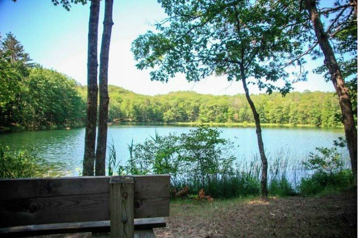 HuronManistee National Forests waive fees for National Public Lands Day