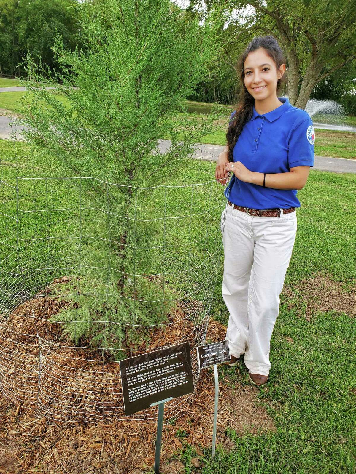 Harris County Arborist Laura Medick with a legacy tree planted at Broussard Park.