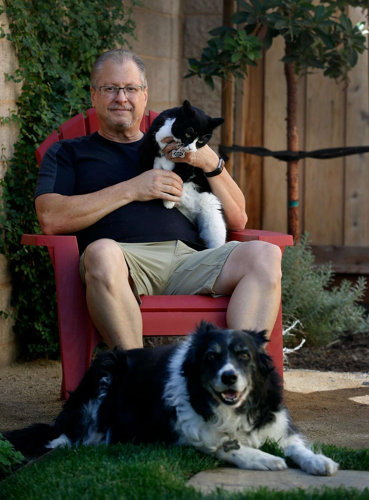 Rick Sullivan relaxes with his cat Nikkita and border collie Frisbee in the backyard of his home in Brentwood, Calif. on Thursday, Sept. 24, 2020. Sullivan is still experiencing long term effects after recovering from COVID-19, which he contracted in June, and suffers what he described as "brain fog".