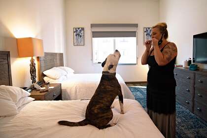 Fire evacuee Brittany Provinzano plays a tiny harmonica that her dog tries to harmonize with in her Scotts Valley hotel room. After evacuating from their Boulder Creek home, Provinzano and her family bounced through several different hotels before settling in their current one.