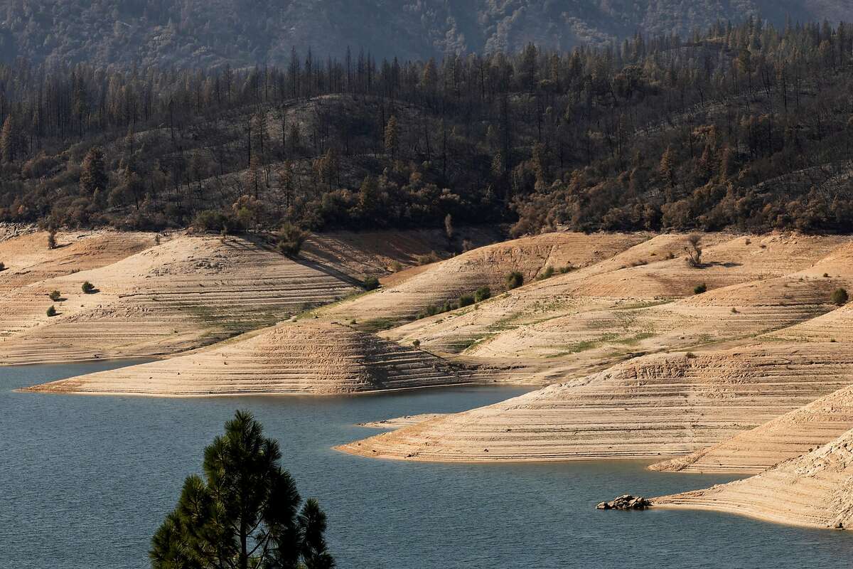 A line of charred trees sits above Lake Oroville seen from Lumpkin Road in Oroville, Calif. Thursday, September 24, 2020 as crews work to mop up areas in Oroville damaged by the Bear Fire.
