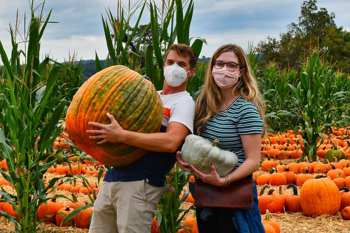 Were you SEEN at pumpkin picking at Jones Family Farms on Sept. 26, 2020?