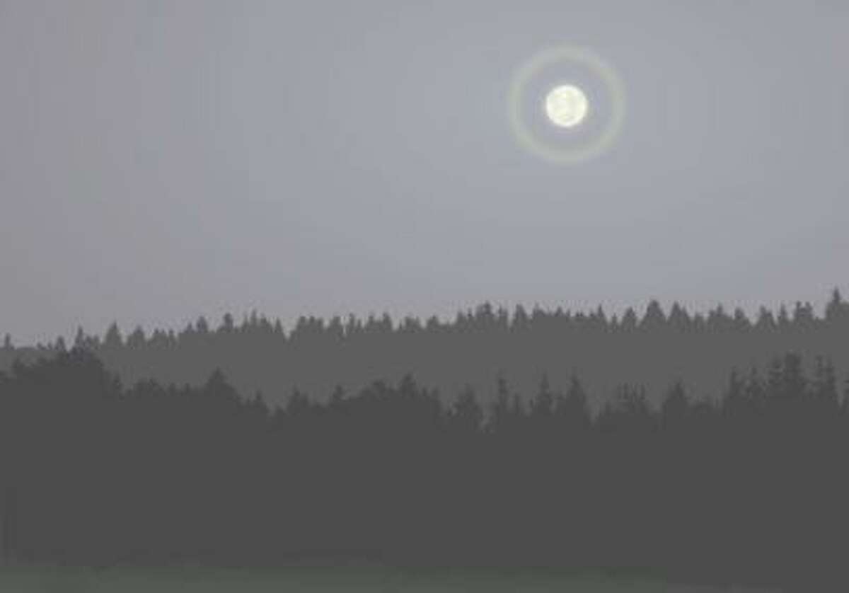The Shelton Trails Committee is again hosting its annual moonlight hike beginning at 7 p.m. on Friday, Oct. 2, at Shelton Land Conservation Trust's Nicholdale Farm.