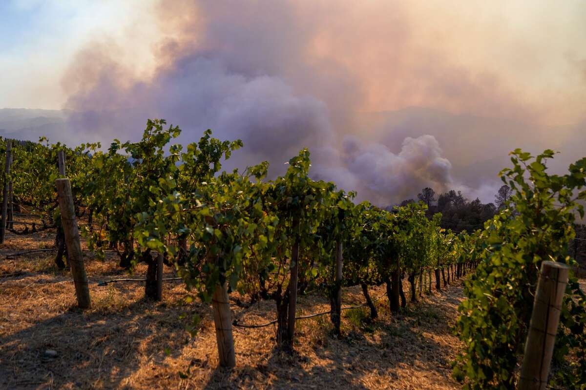 Luxury Calistoga Ranch resort 'extensively damaged' in Glass Fire