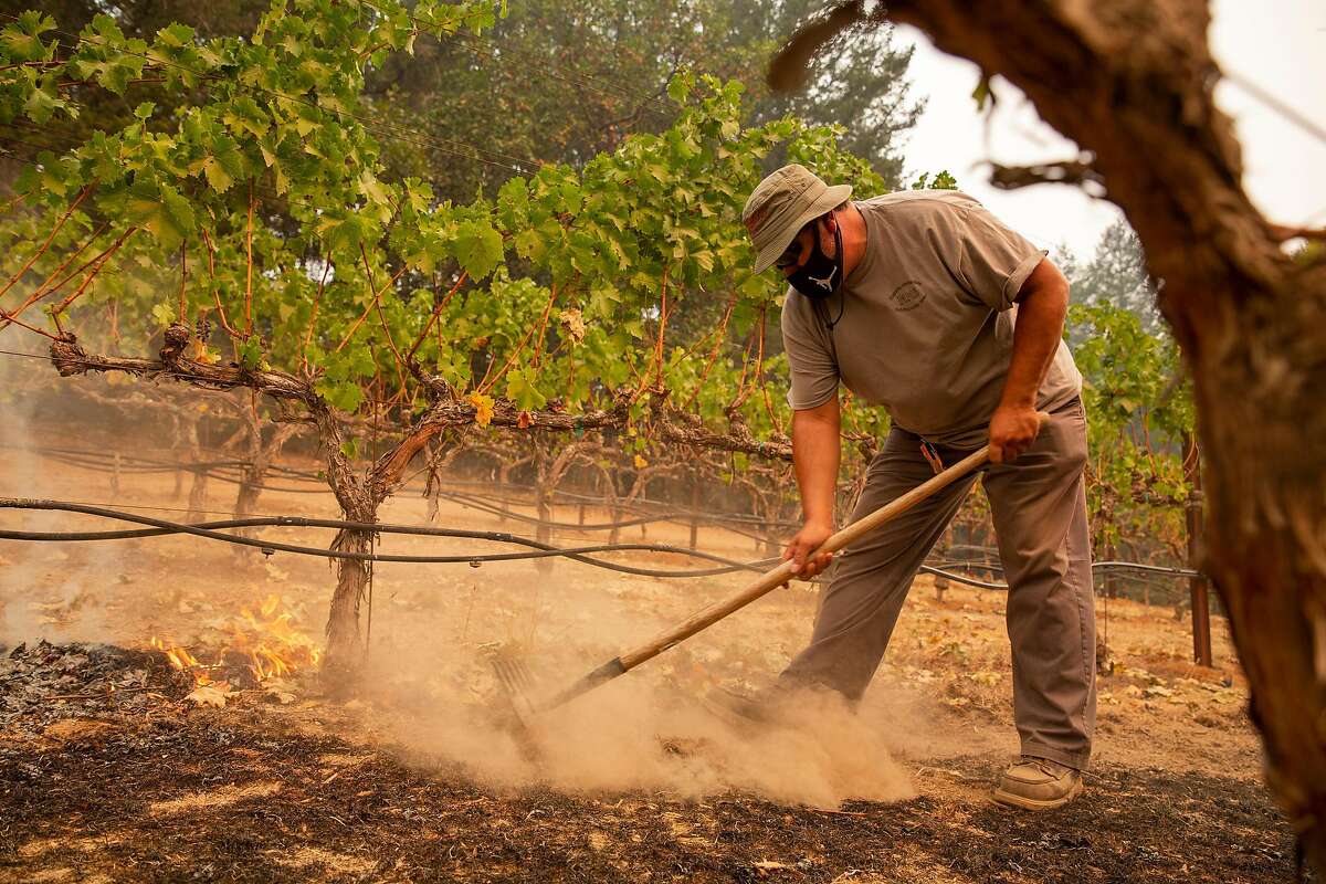 Jesus Calderon uses a hand rake to stop small spot fires that are creeping into the vineyard during the Glass Fire at Schramsberg Winery in Calistoga, Calif. on Monday morning, Sept. 28, 2020.