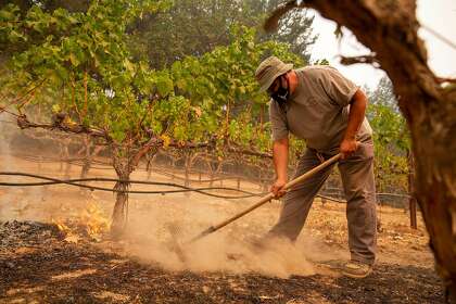 Jesus Calderon uses a hand rake to stop small spot fires that are creeping into the vineyard at Schramsberg Winery in Calistoga.