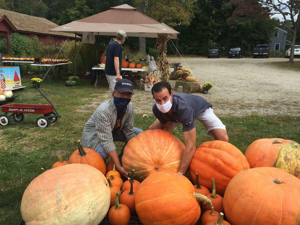 Gregg Chann and Vince DiLullo of the Wilton Kiwanis Pumpkin Committee, review the wide assortment of pumpkins they have for sale this year, including some that weigh around 100 pounds.