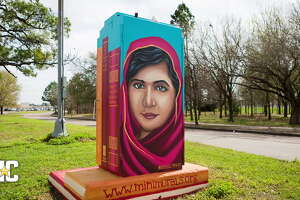 What's up with all those painted traffic boxes around Houston?
