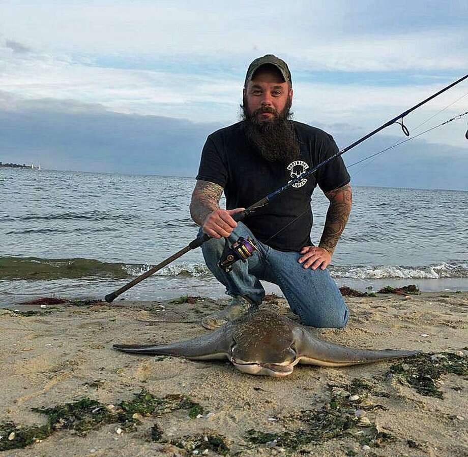 Anglers win awards for longest fish in Long Island Sound - New Haven Register