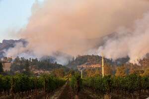 How will California wineries recover from wildfires?