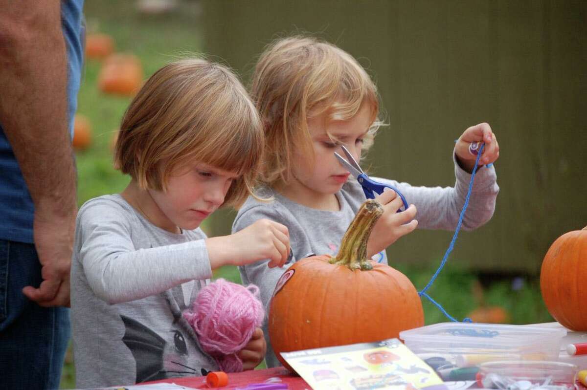 Instead of its traditional Harvest Festival, the Stamford Museum & Nature Center will celebrate the season on six Sundays this fall with added attractions, enhanced programming and family fun offerings.