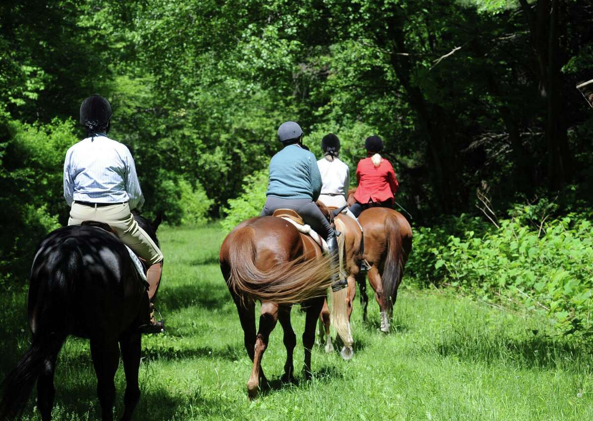 Horse riders that are members of the Greenwich Riding and Trails Association, ride at Nichols Preserve in Greenwich, Conn., Thursday, May 29, 2014.