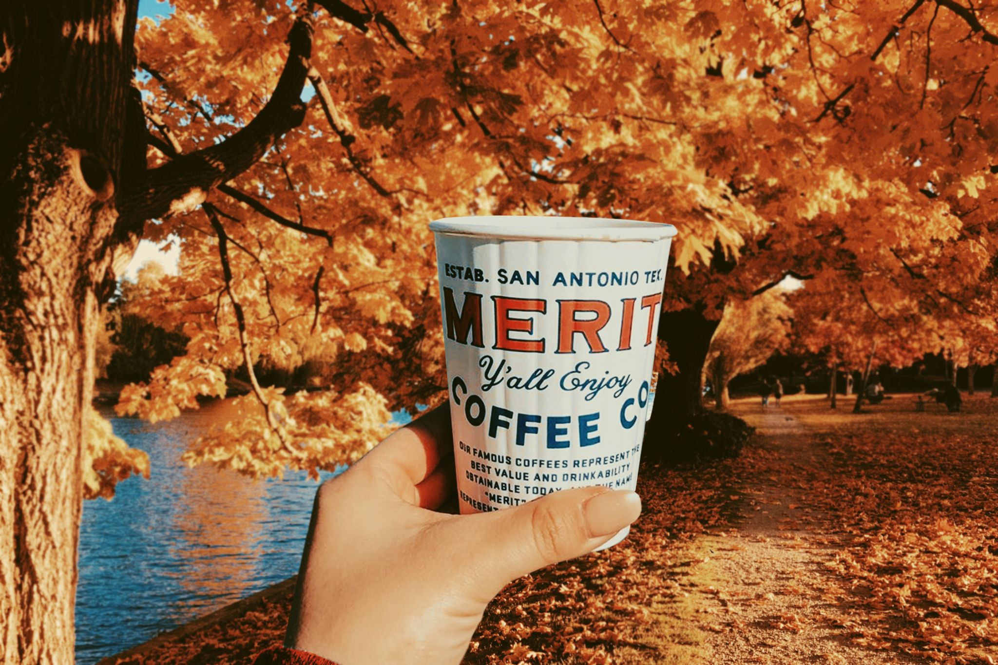 These 8 San Antonio Cafes Offer FallInspired Drinks deleciousfood