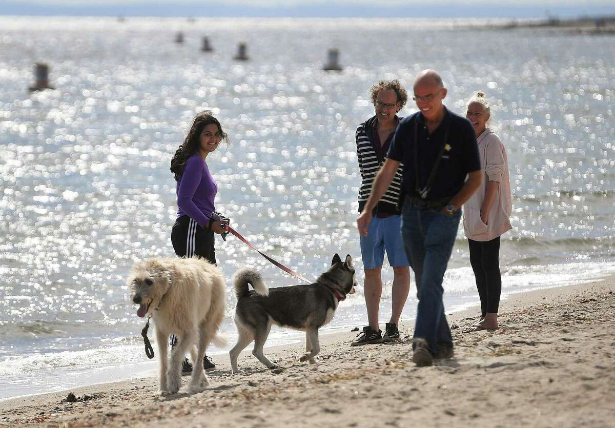 Dog owners including Mike O'Neill and his Irish Wolfhound Murphy enjoy the opening of beach season for dogs and other animals at Jennings Beach in Fairfield, Conn. on Thursday, October 1, 2020. Animals are allowed on Fairfield beaches each year beginning October 1st.