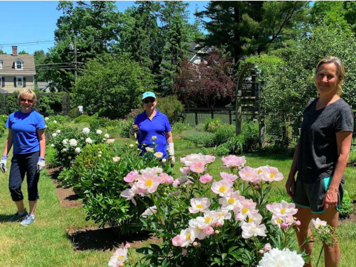 Ridgefield Garden Club members Lori Richiger, Eileen McIntyre, and Lisa Chuma tend to the newly renovated Ballard Garden.