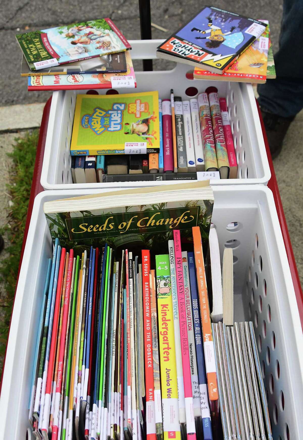 Bringing Albany kids joy, one book at a time