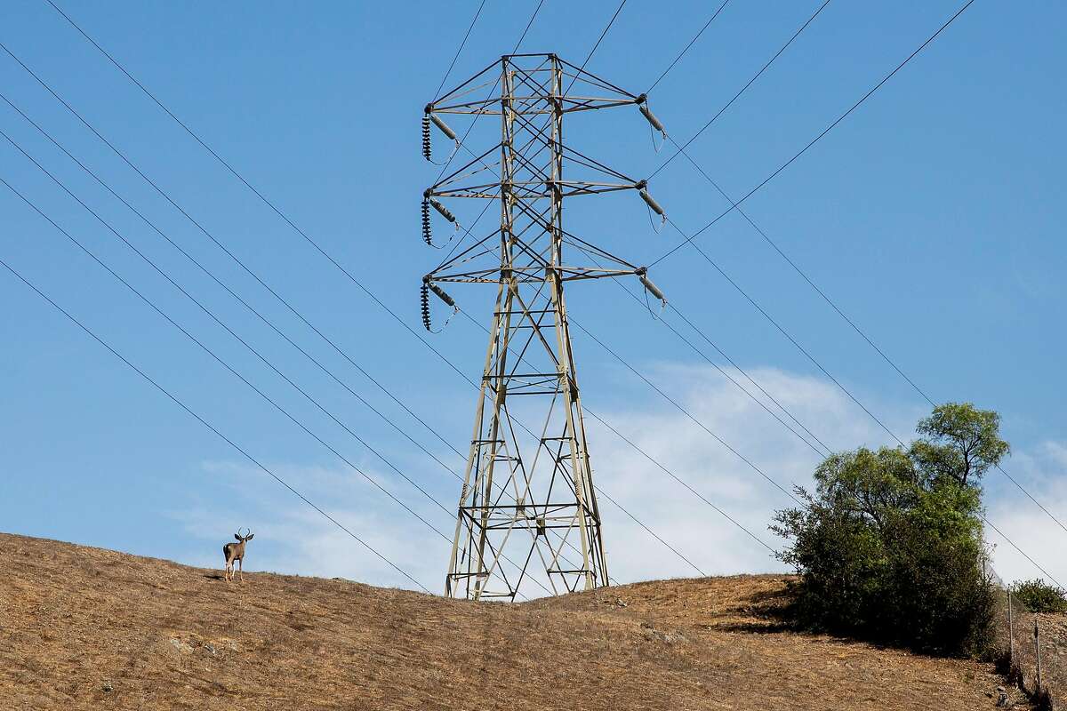 A deer walks through dry grass beneath high voltage power lines seen from Terrace Drive in El Cerrito in September.