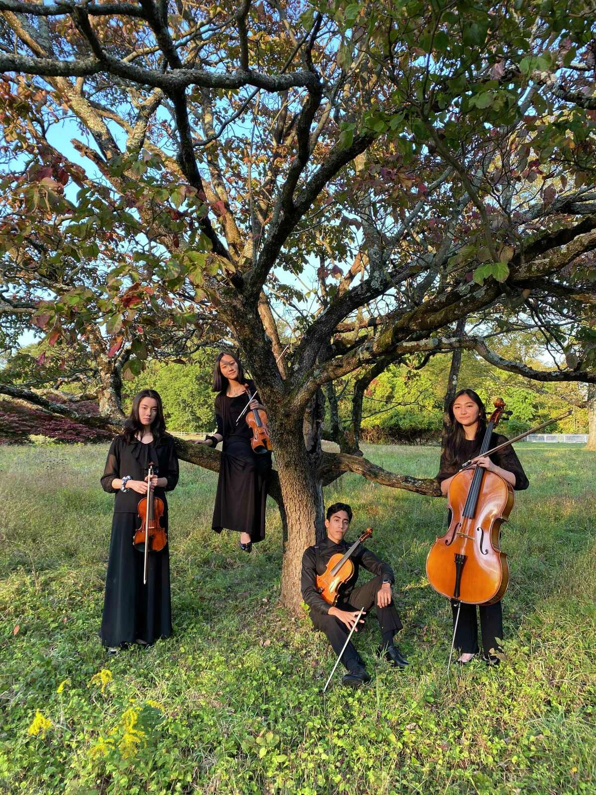 The Con Fuoco String Quartet performed at the Mather Homestead Oct. 4.