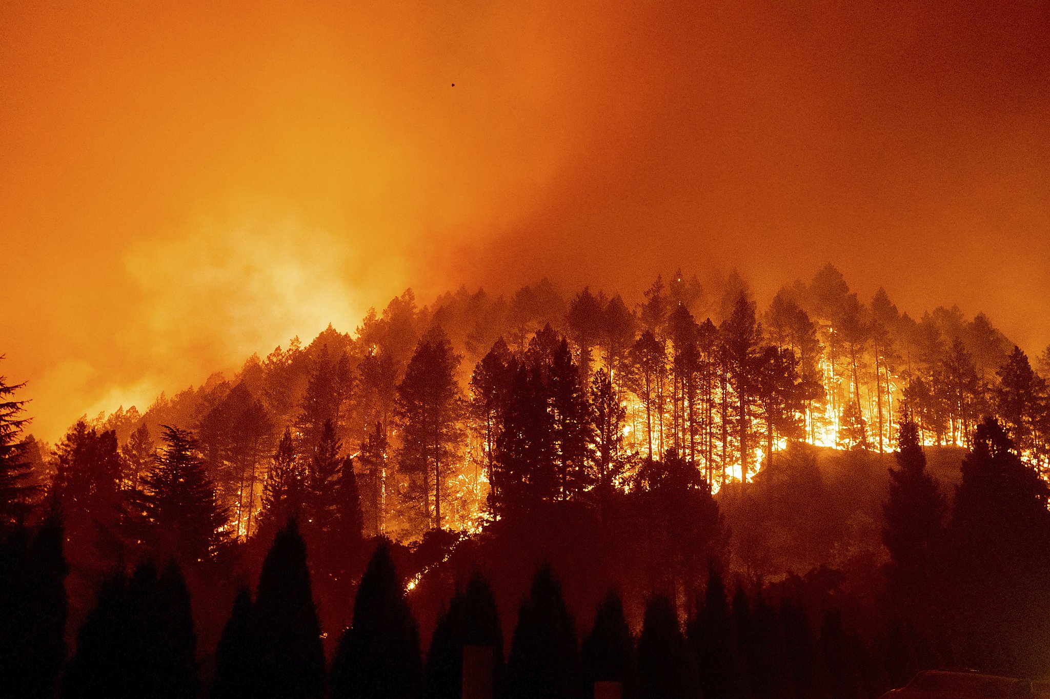 Wildfire safety starts with communities, not cutting forests