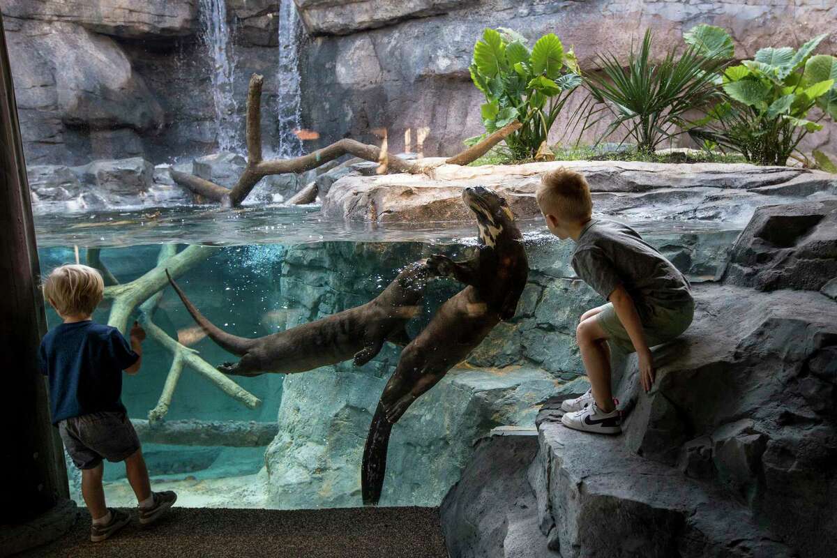 Houston Zoo unveils its first-in-the-nation Pantanal exhibit