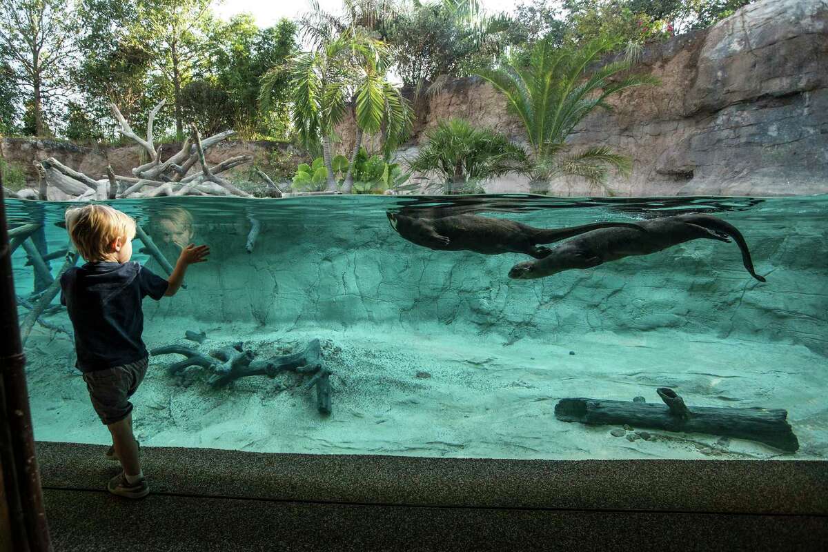 Houston Zoo unveils its first-in-the-nation Pantanal exhibit
