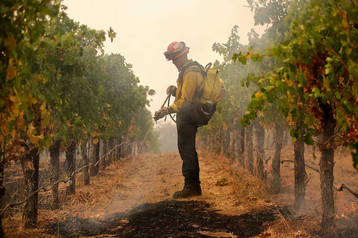 National City fire Capt. James Stiles sprays down small spot fires in the vines at Robert Craig Winery in Angwin during the still-raging Glass Fire.