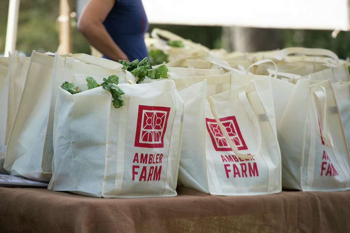 Fresh vegetables from the farm wait for visitors at Ambler Farm Day.