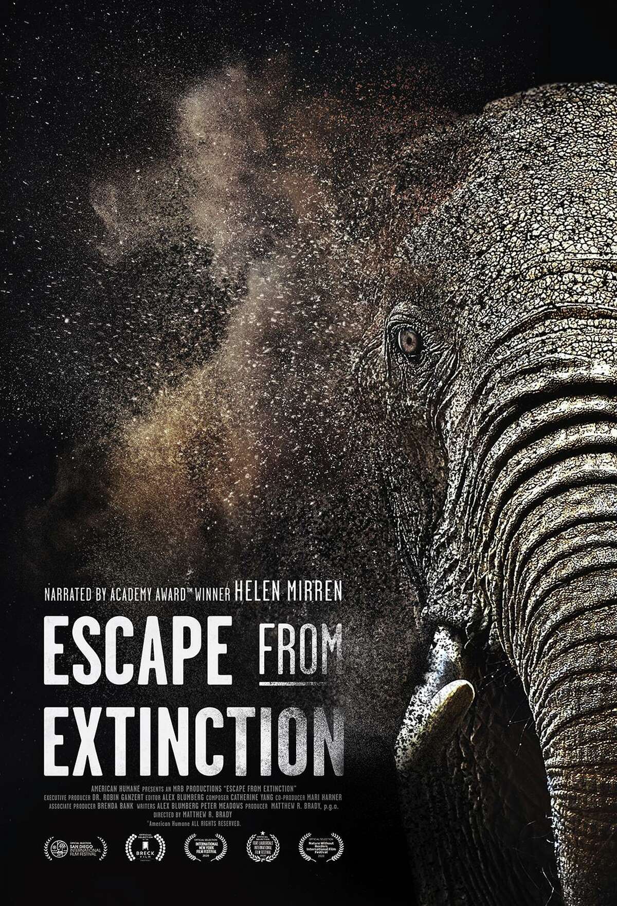 Matthew R. Brady, of Madison, has directed and produced the documentary 'Escape From Extinction,' narrated by Dame Helen Mirren. The movie will be opening in Mystic at the Cinepolis and Mystic Luxury Cinemas on Oct. 16.