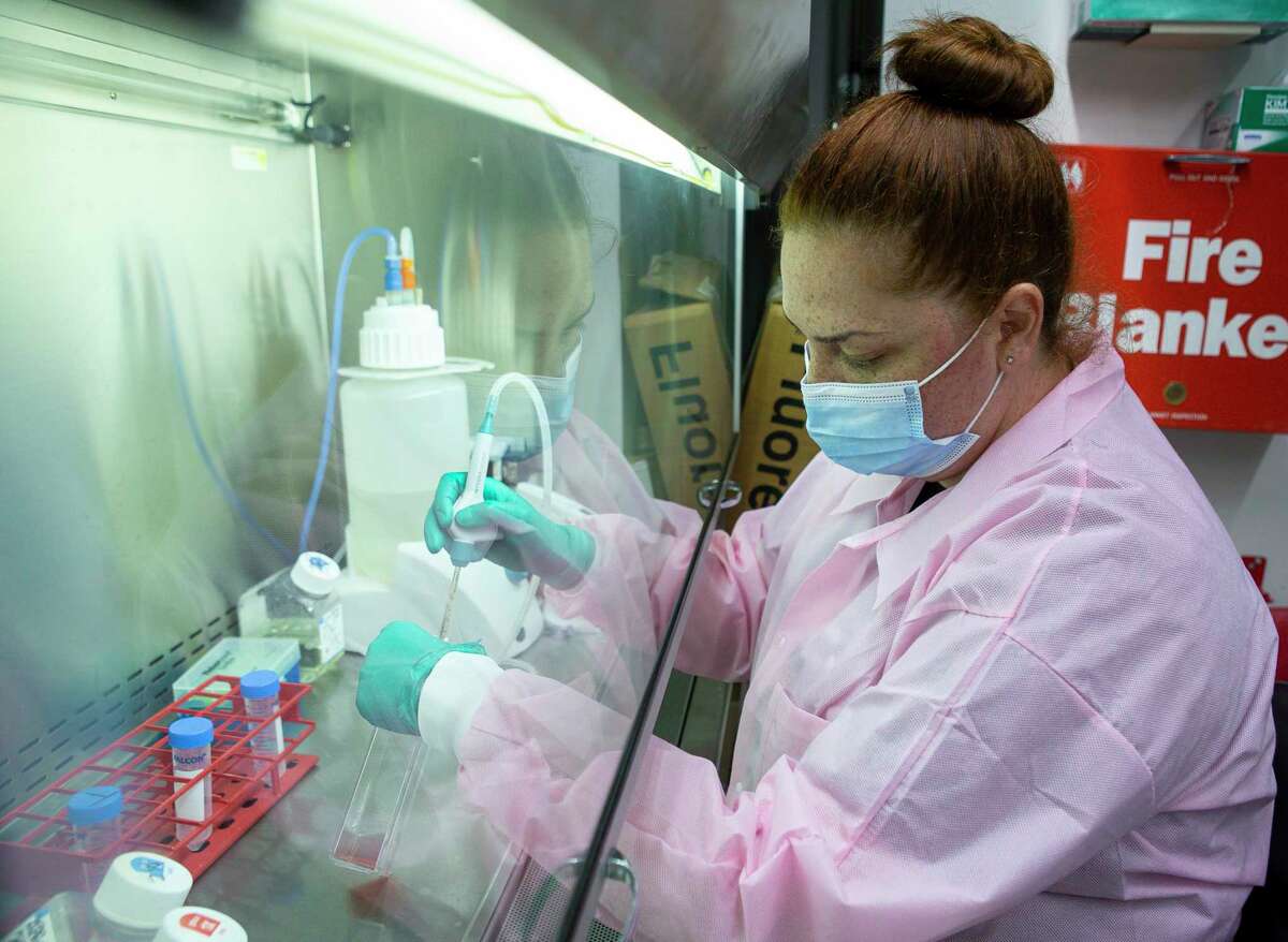 Camila Fontes works in a vaccine research lab at University of Texas Medical Branch at Galveston on June 18.