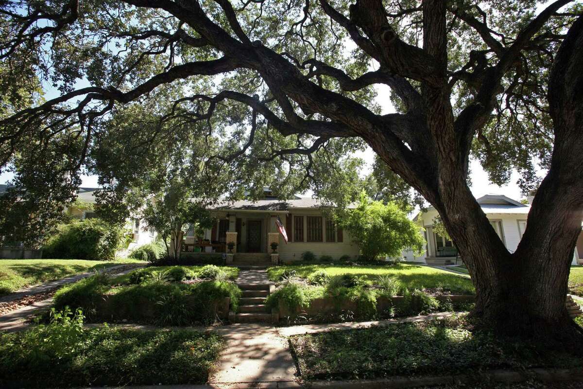 The work on Climate Action and Adaptation Plan hasn’t all been highly technical or controversial. One part is decidedly low-tech: It calls for planting more trees. San Antonio’s goal for 2020 was 20,000 trees — until the pandemic canceled springtime plantings and tree adoption events. Shown is a live oak tree shading a front yard and the front portion of the house.