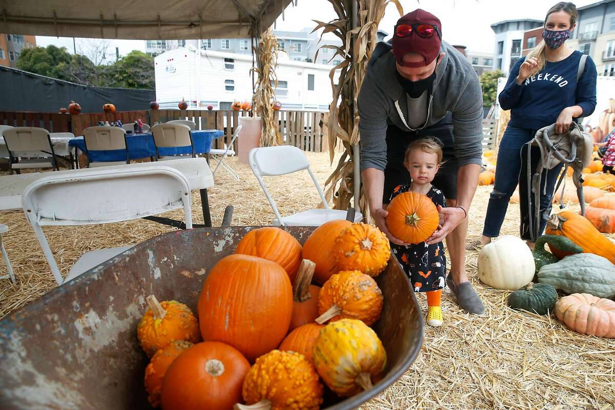 Scarlett Mercer, 10 months, helps her parents collect pumpkins at the Speer Family Farms pumpkin patch in Oakland. Fall normally brings rain, but the skies are still clear, causing fire risk to remain.