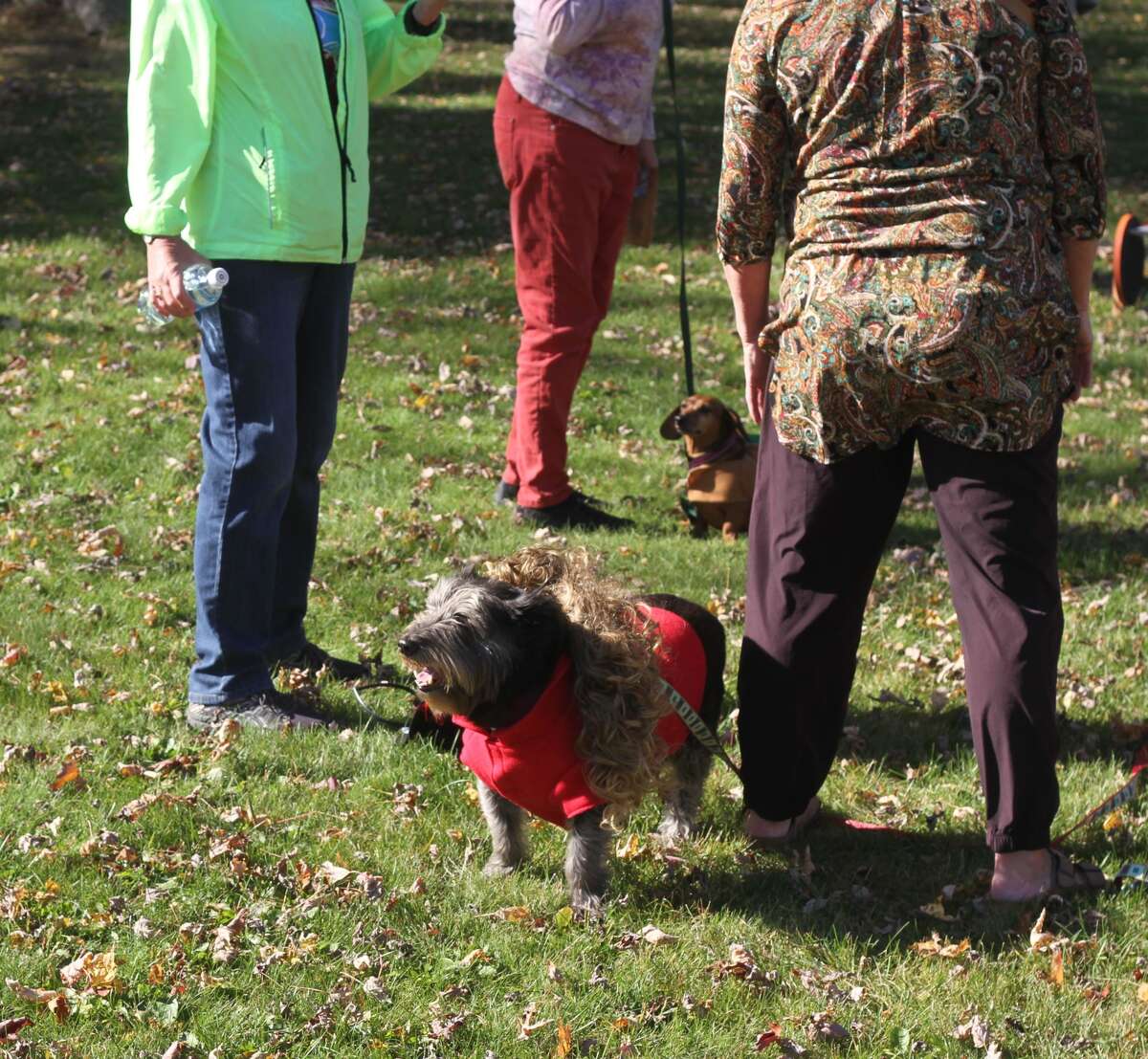 Photos Fall activities entertain Onekama residents, visitors