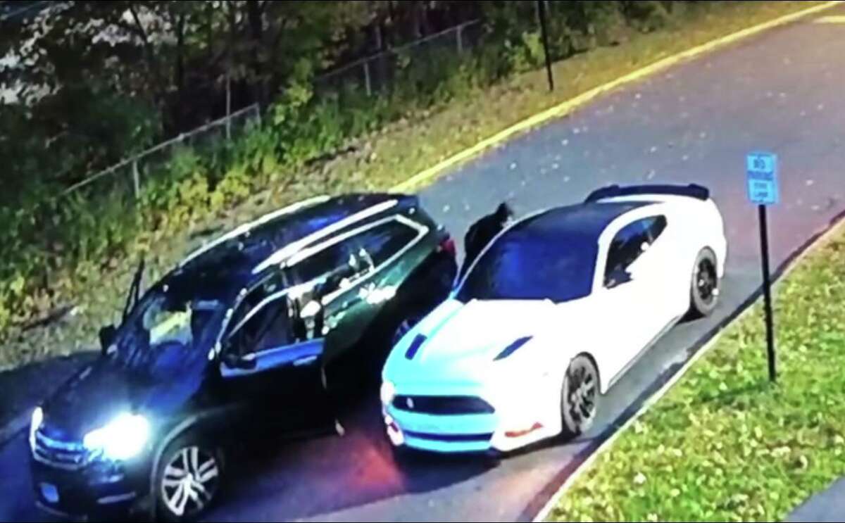 Video shared by Wethersfield Police shows a car break-in.