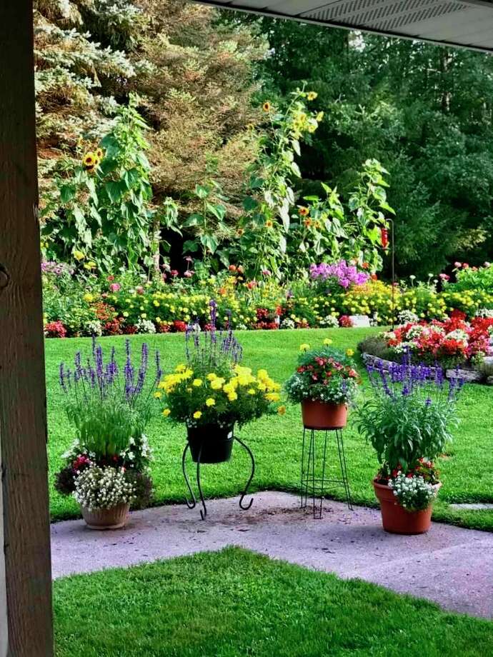 A view of Don Block's garden from the patio. (Courtesy photo)